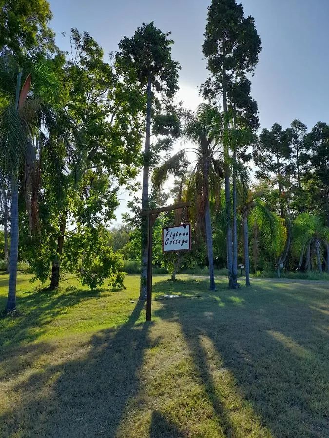 Figtree Cottage - Homestay - Yeppoon